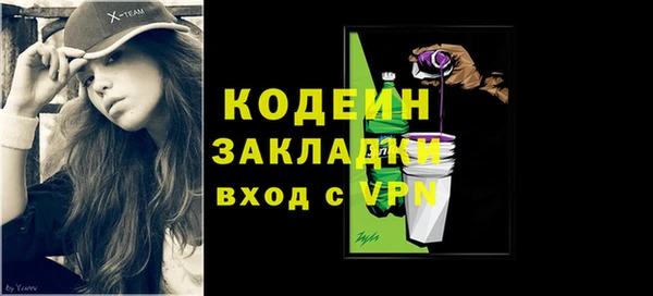 ПСИЛОЦИБИНОВЫЕ ГРИБЫ Михайлов