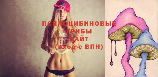 мяу мяу мука Горняк