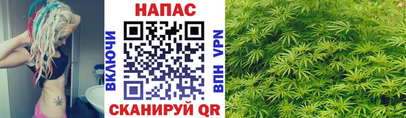 как найти закладки  площадка клад  kraken ONION  МАРИХУАНА SATIVA & INDICA  Невель 